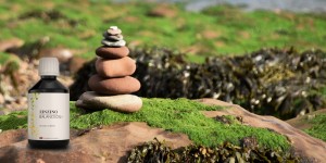 BalanceOil+ Vegan : pourquoi l’huile d’algues et l’Omega‑3 végétal sont différents